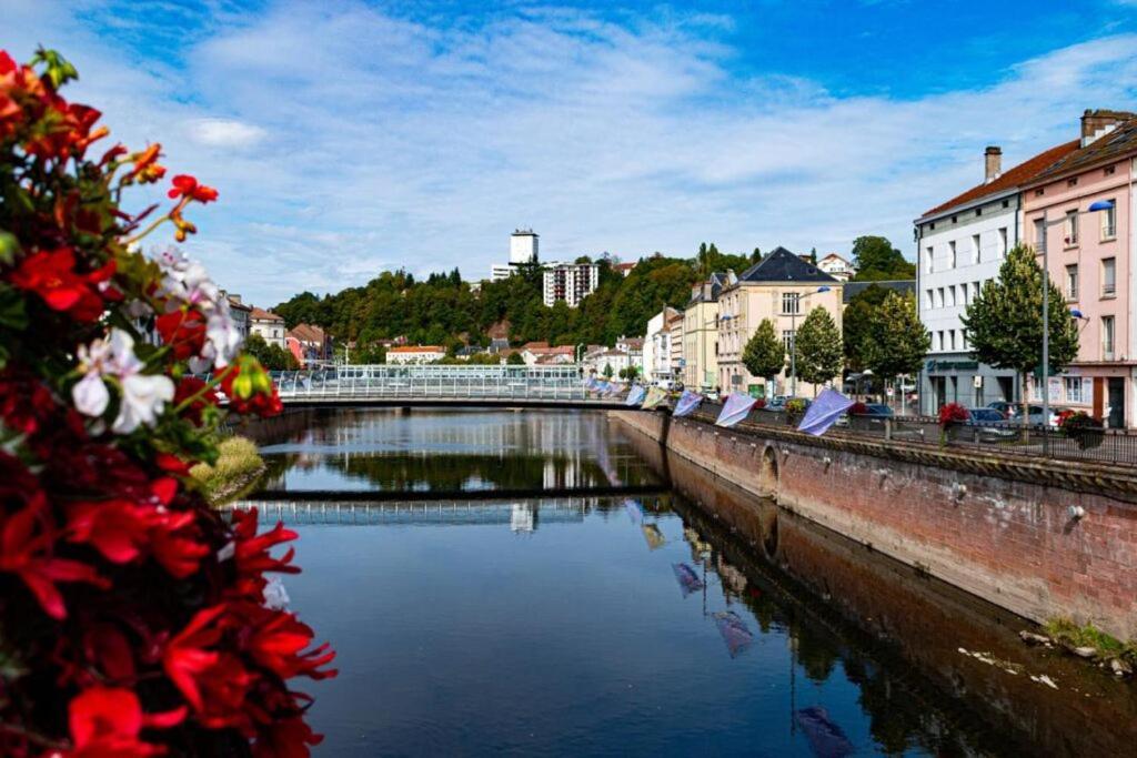 Appartement Spacieux Cosy Centre Epinal !!! Экстерьер фото
